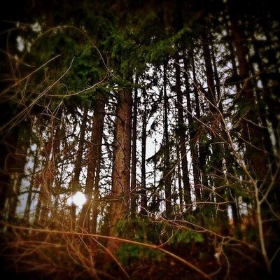 EyeEm Nature Lover by iga🐺
