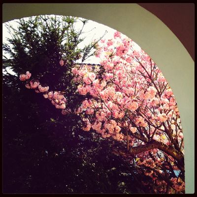 spring has sprung in Gießen by Clusto