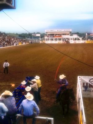 Rodeo by Stacy Ericson