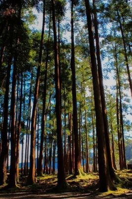 EyeEm Best Shots at Furnas by Joana Camilo