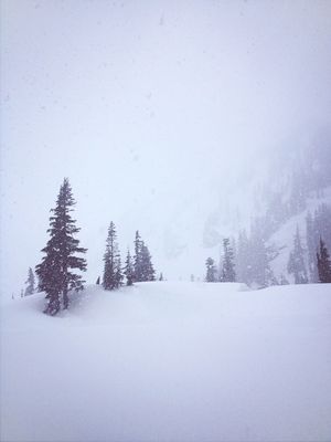 snowing by Stasha