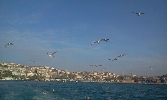 Turkey at Koca Mustafa Paşa by Derviş Aydoğdu