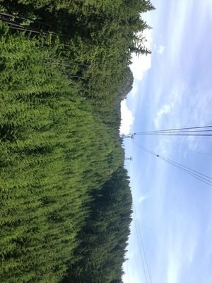 On a hike at Grouse Grind by Midori Kano
