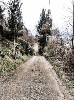 Camino by eMe