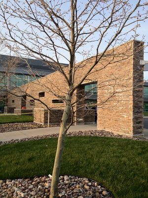 visiting at Millard Fillmore Suburban Hospital by César Cedano