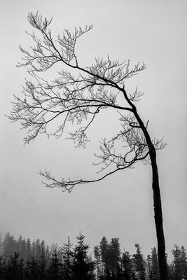 Noir Et Blanc by ladoublevie