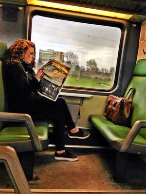 Riding the Train by Anne van der Laan