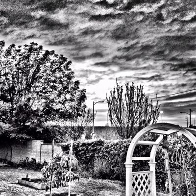 blackandwhite by Frank