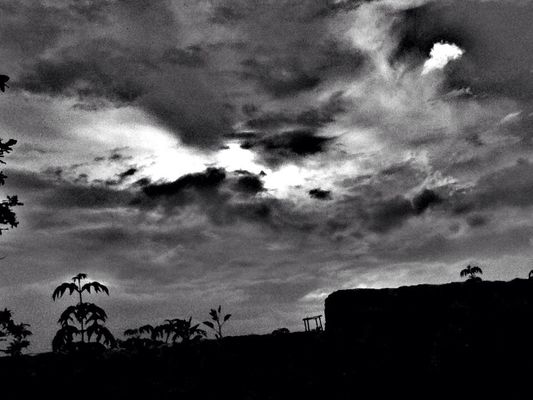 blackandwhite by Lily