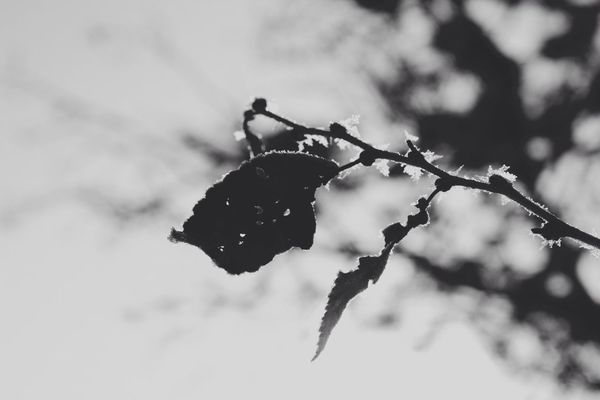 blackandwhite in Boise by Tori Church
