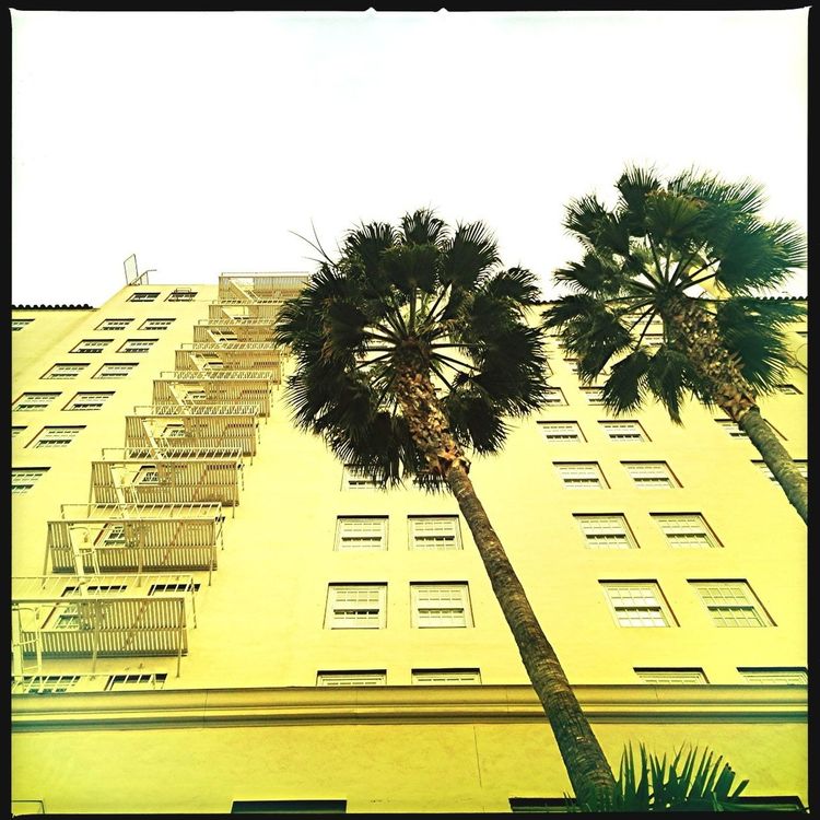 Urban nature in Los Angeles by Jen Pollack Bianco