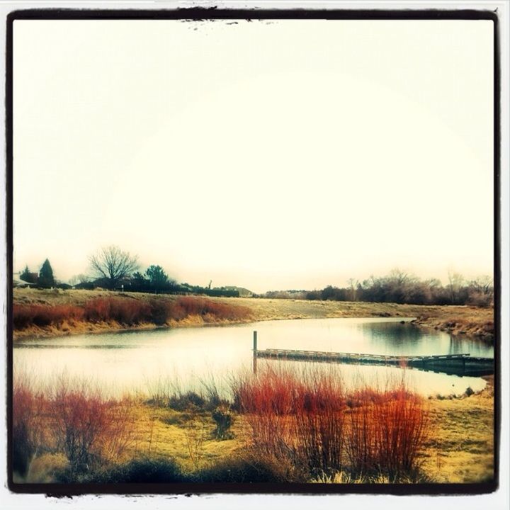 Nature by Melody