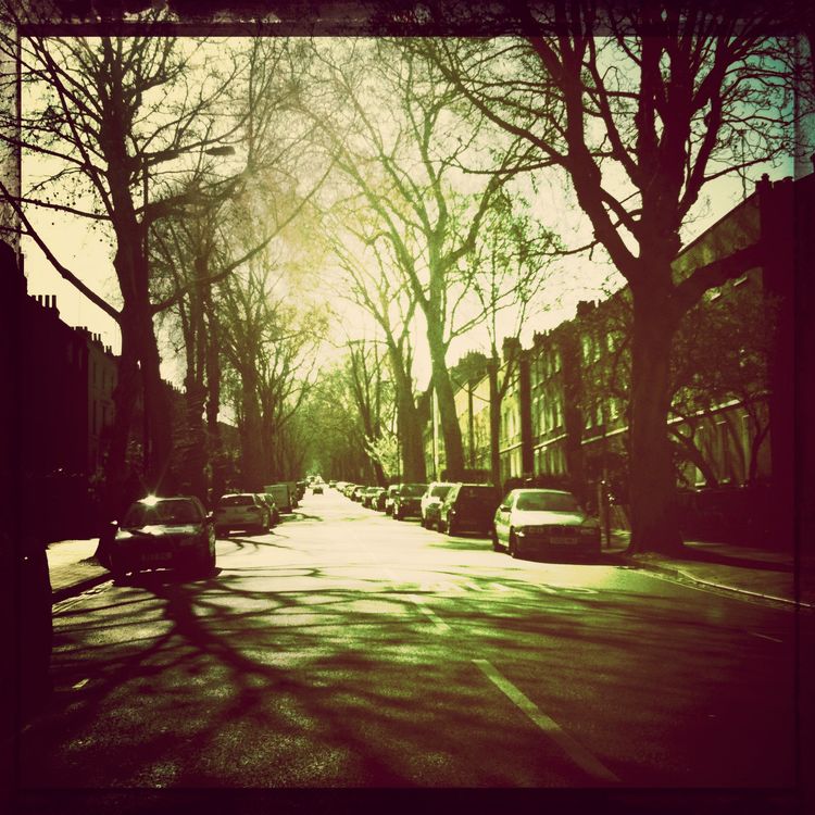 Camberwell in Camberwell by Henrietta Fernandez
