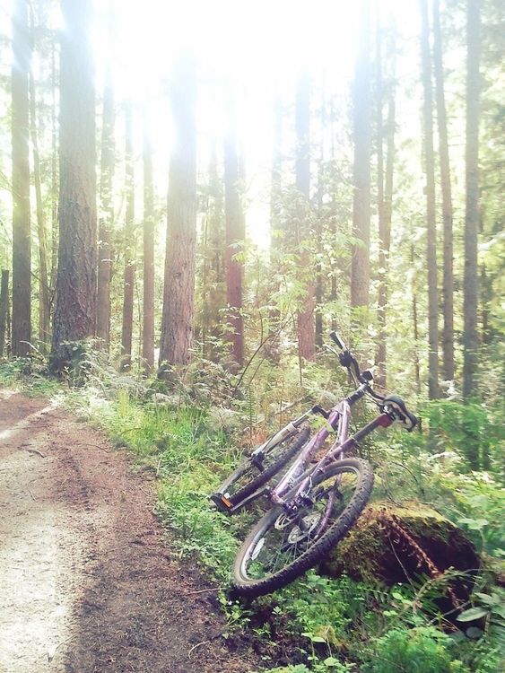 Biking at Redmond Watershed by Ingunn Markiewicz