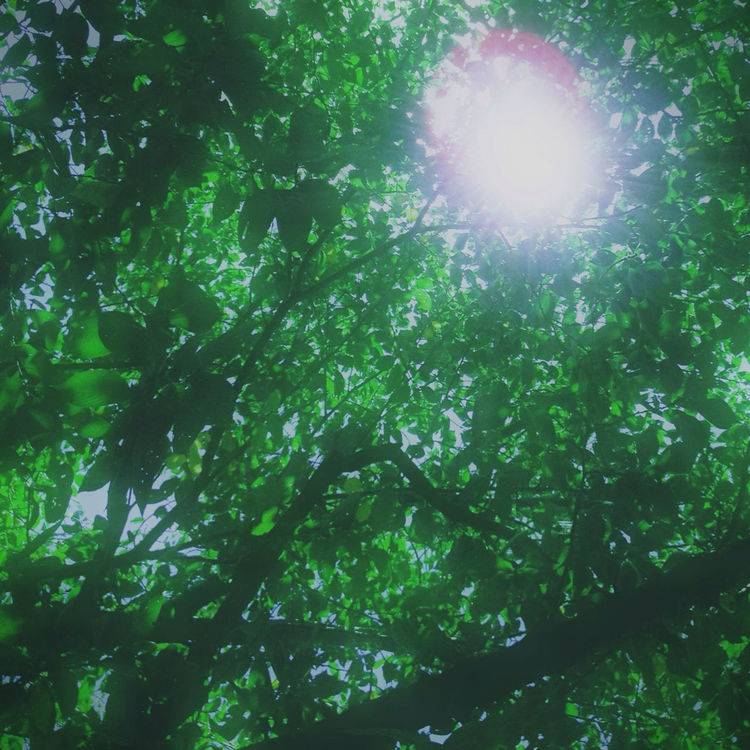 Nature at 袋井公園 by Toshihiko Kuki