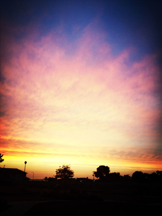 Summertime at Los Banos Skate Park by Jeninzen
