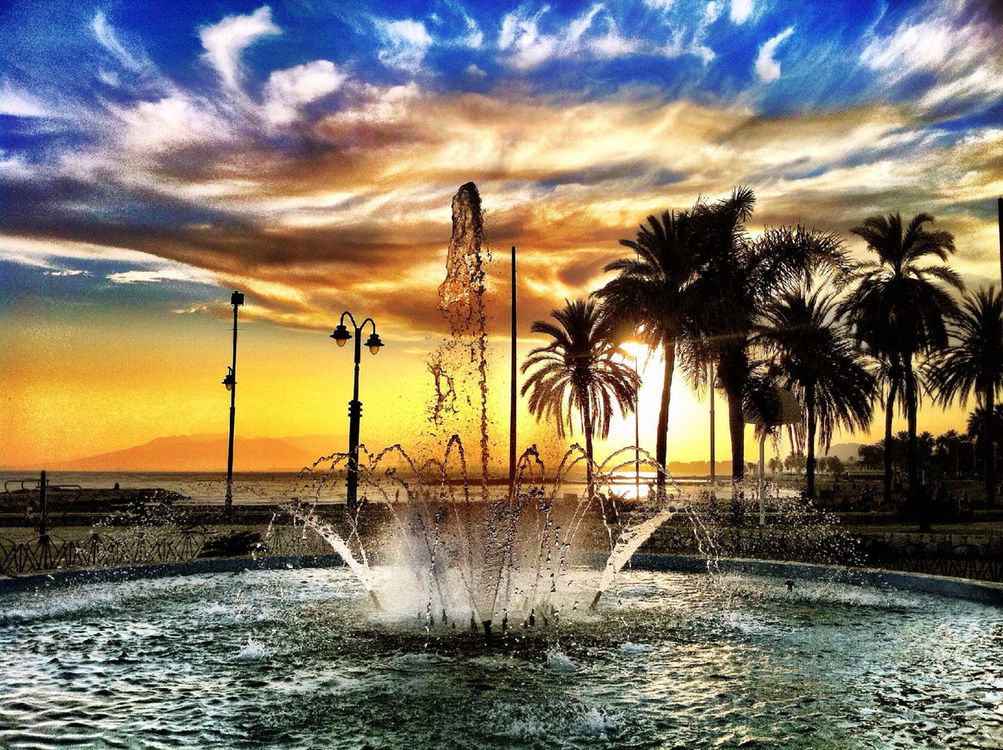 Nature at Plaza del Padre Ciganda by elrebo