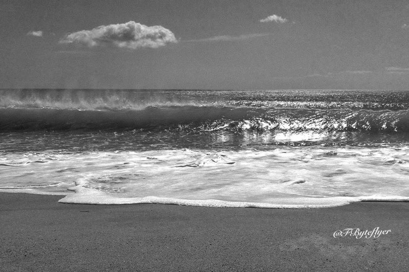 blackandwhite by FByteflyer