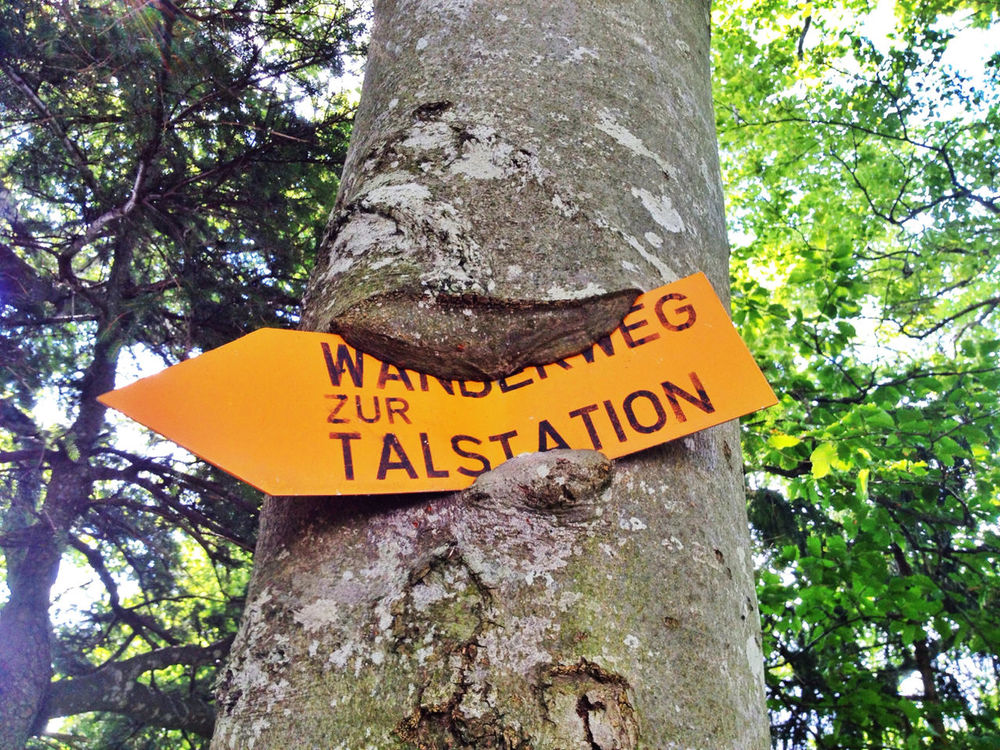 Signs at Bergrestaurant Atzmännig by Adrian Senn
