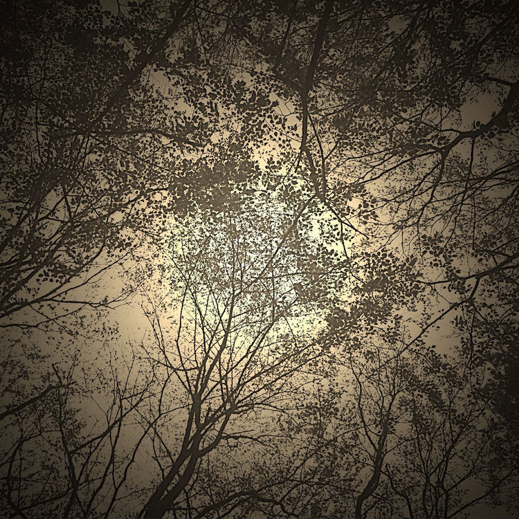 Nature by miyuki