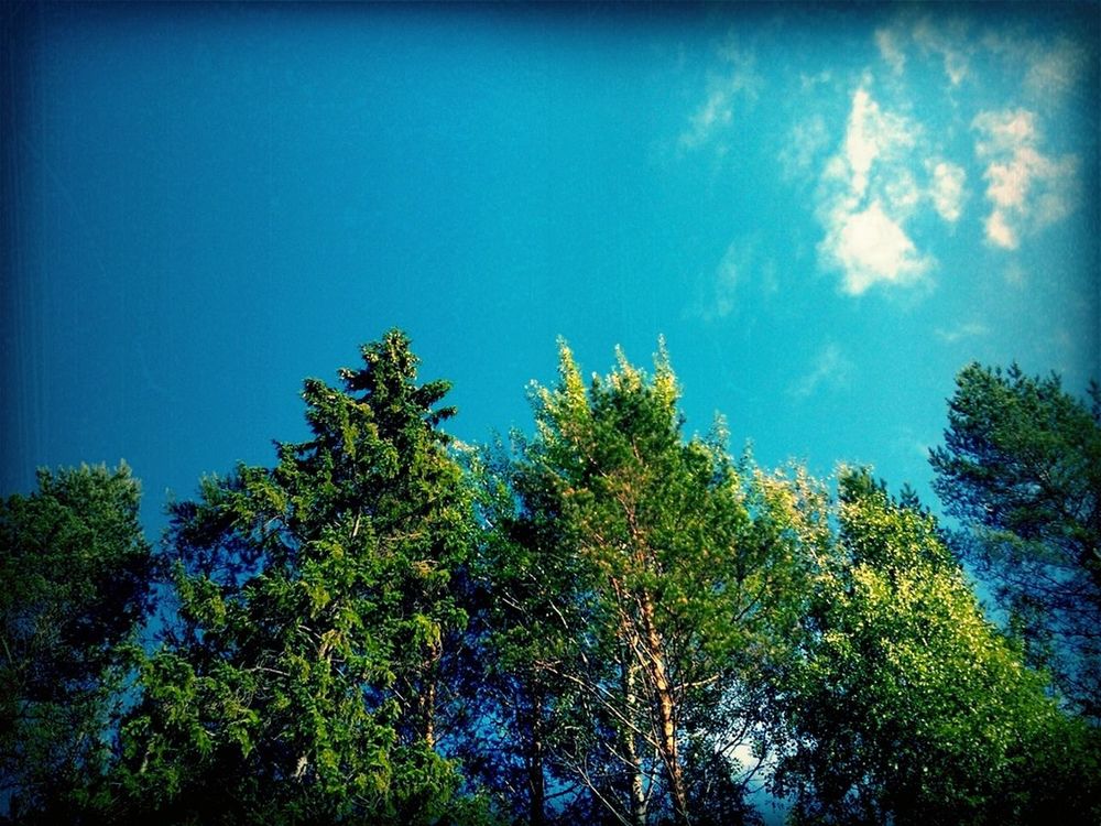 Nature by KEEMOH