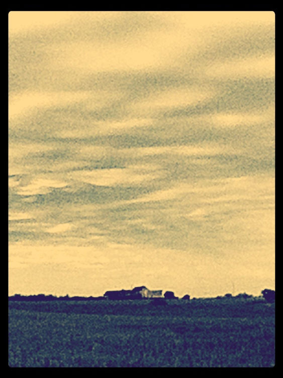 sky by Alice