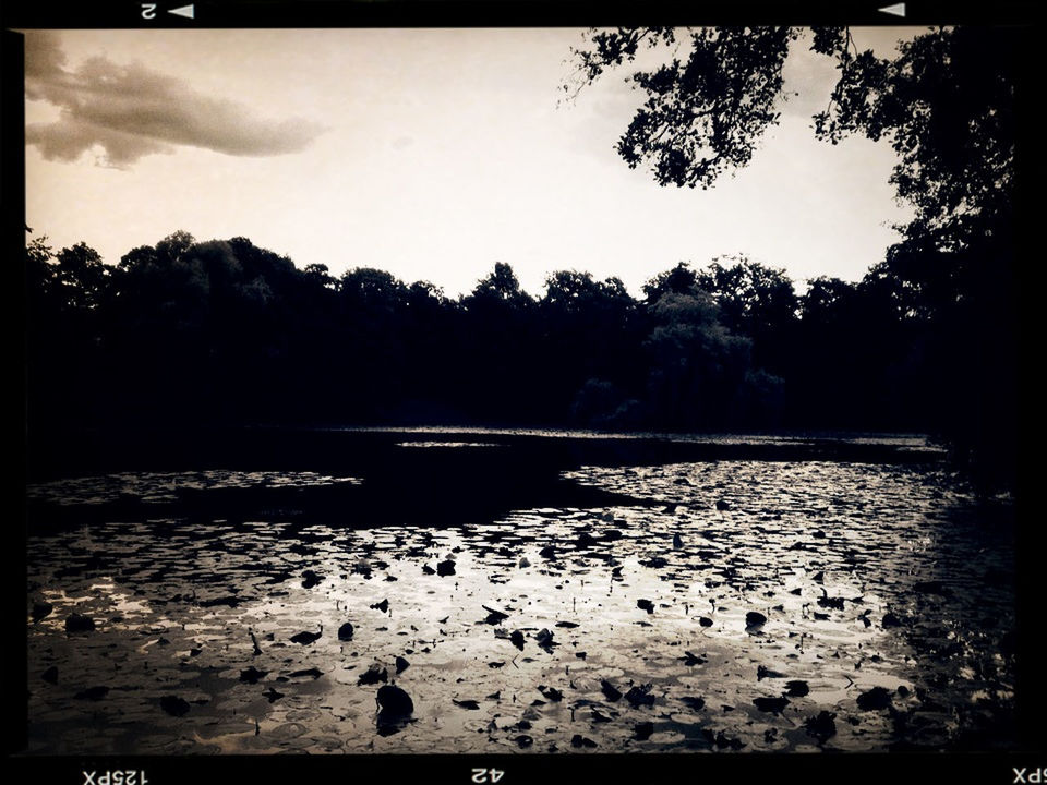 black and white at Mattheiser weiher by iPat
