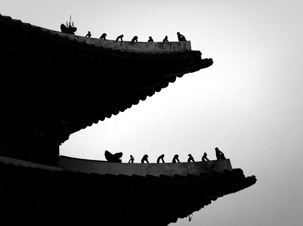 blackandwhite at Seoul by Francois