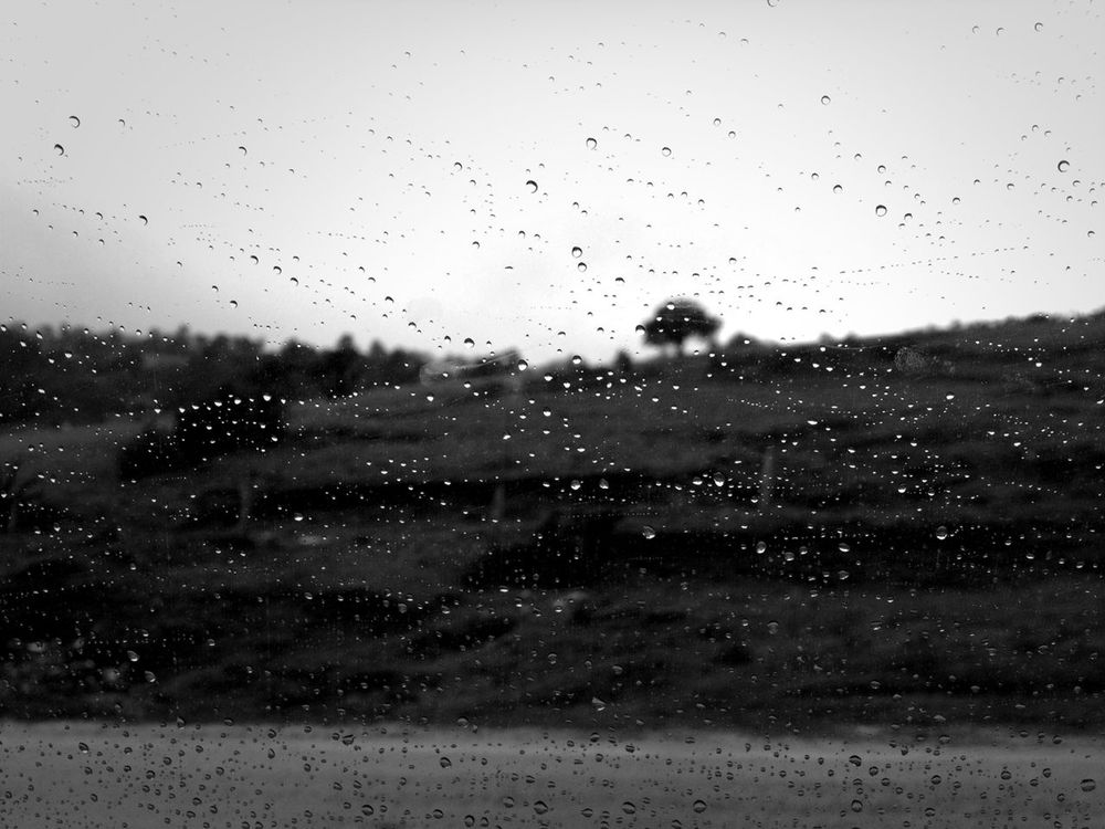 blackandwhite by Anna Cristina
