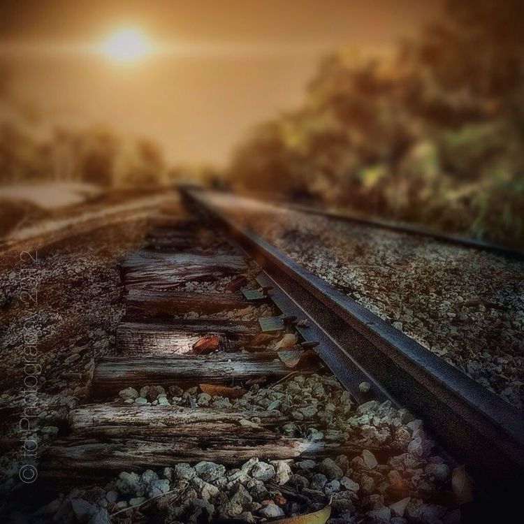 HDR by t_h_e_d_a_v_i_d