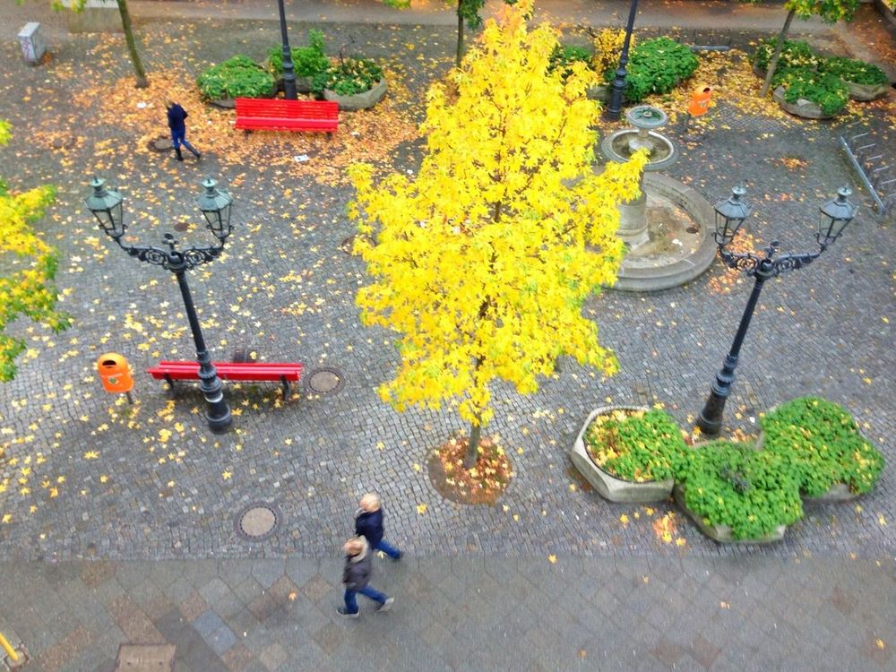 Autumn at Bierpinsel by TiNa