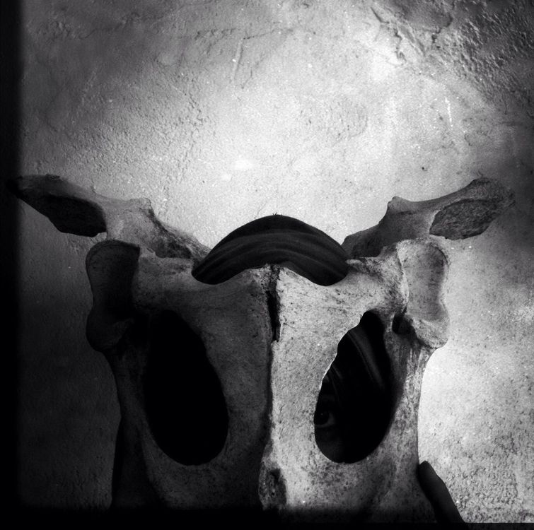 blackandwhite by Darryl Segich
