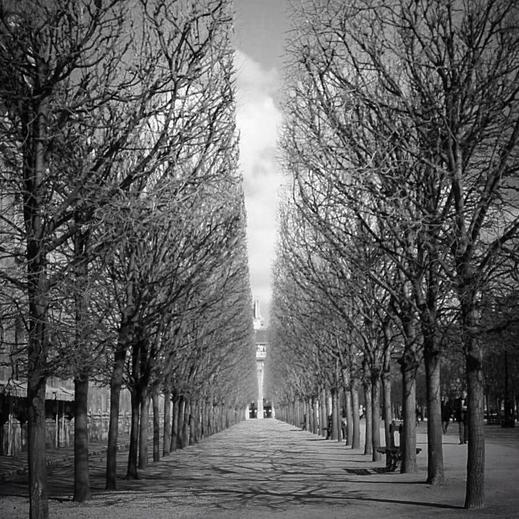 blackandwhite by na0_7o