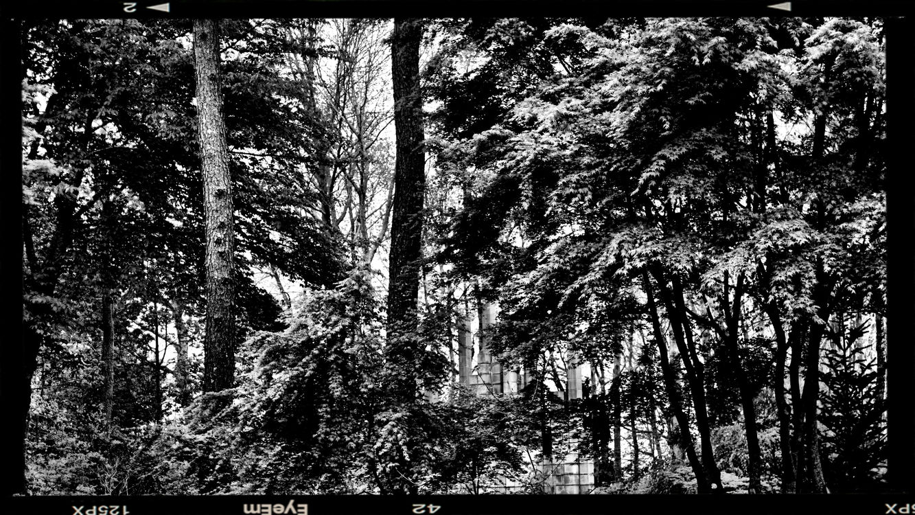 blackandwhite by Jen