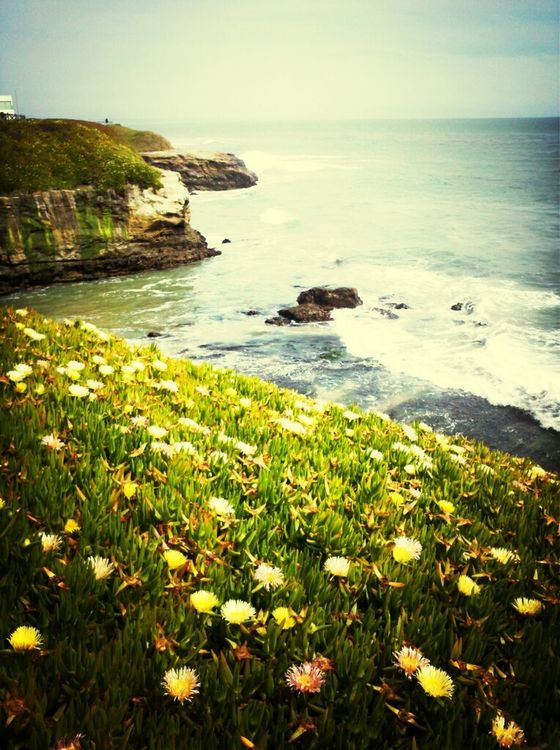 ocean at natural bridges by Matt Pizza