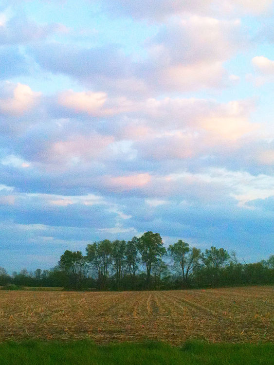 landscape at 270 N by klickelsey
