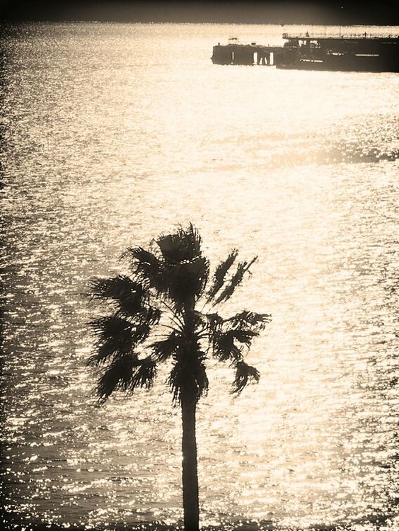 blackandwhite by yusuke