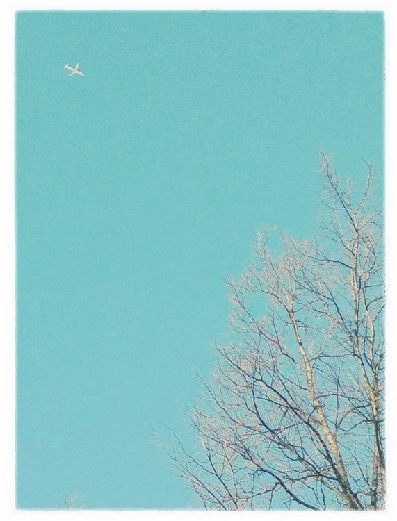 airplane by @boyray