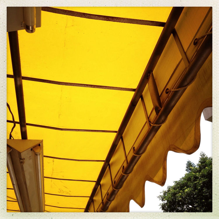 yellow by danica yu