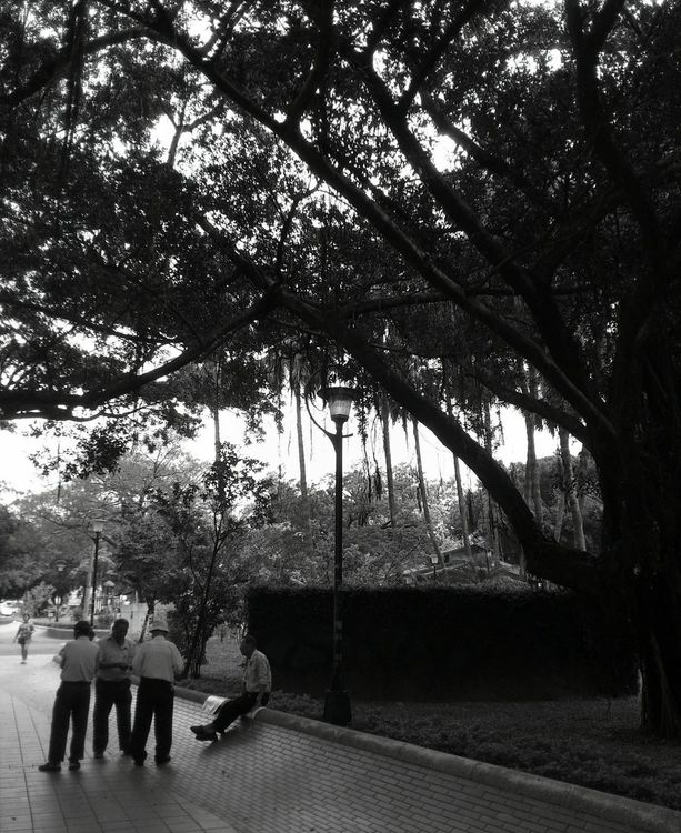 Mobile Love by CClare