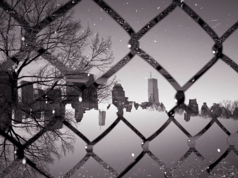 Double Exposure at Central Park by danielle d