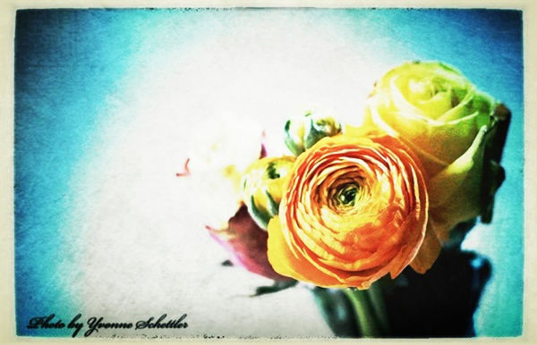 macro week by Yvonne