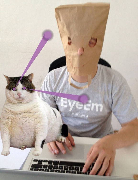 oh hai dere at EyeEm HQ by Stephanie