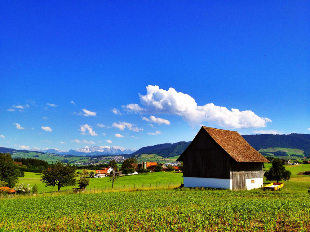 landscape in Wädenswil by Adrian Senn