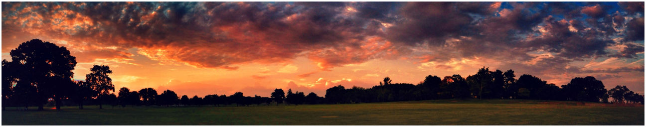 landscape at Severn, MD by Matt Ha