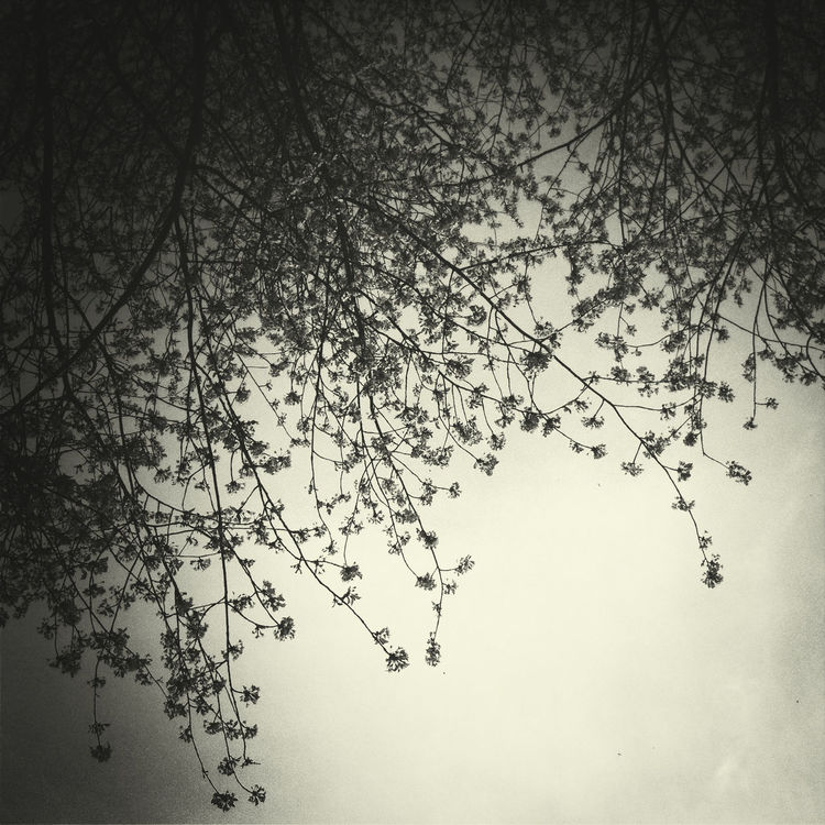  by Dewdrop