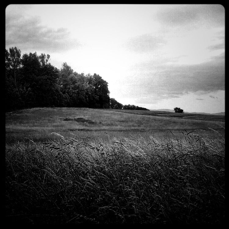landscape at ETH Hönggerberg by Thomas Lottermoser