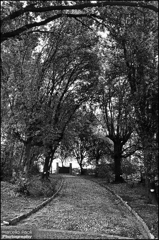 blackandwhite by Marcello