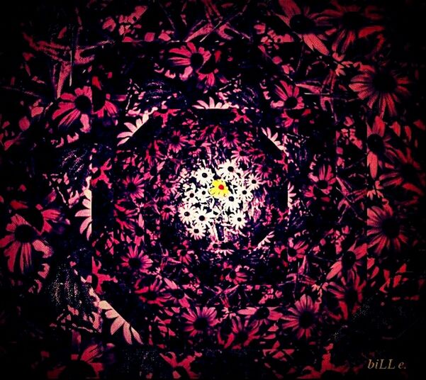 flowers in Everett by Bill541