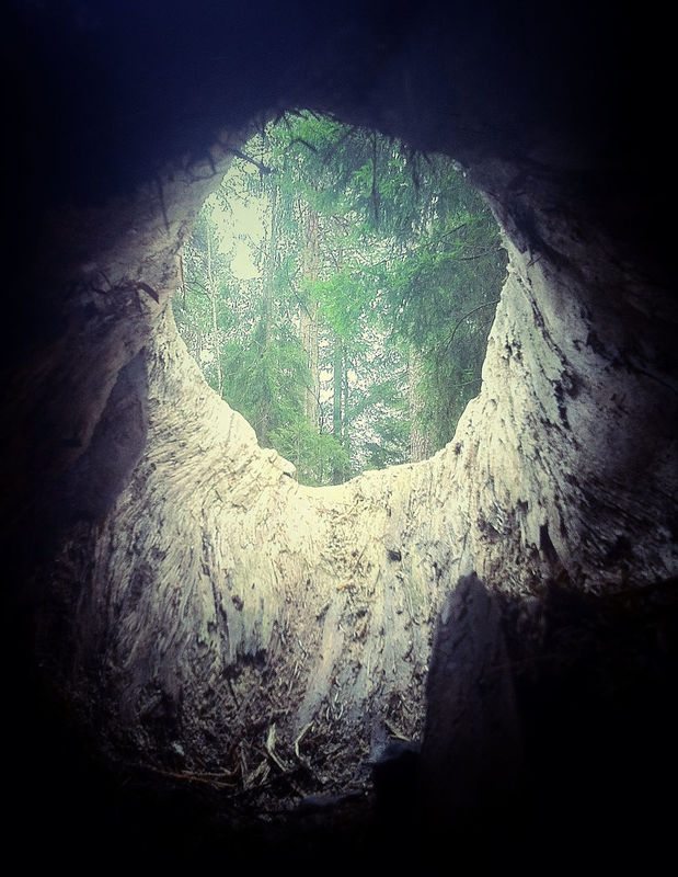 AMPt - Hidden by Annette